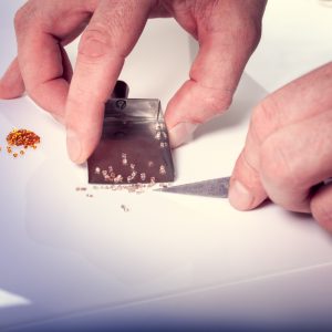 the-dymocks-building-jewellery-shops-Fine-Star-Diamonds-Pty-Ltd