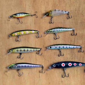 the-dymocks-building-whats-happening-luring-trout-with-compleat-angler