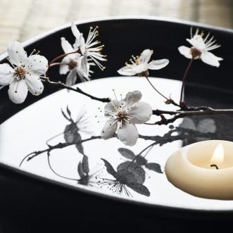 the-dymocks-building-health-and-beauty-shops-Hanzon-Japanese-Acupuncture-and-Shiatsu